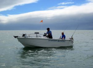 Bloomfield fleet grows